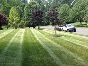 Top-rated outdoor landscaping in Roosevelt, NJ by Green Zebra Landscaping