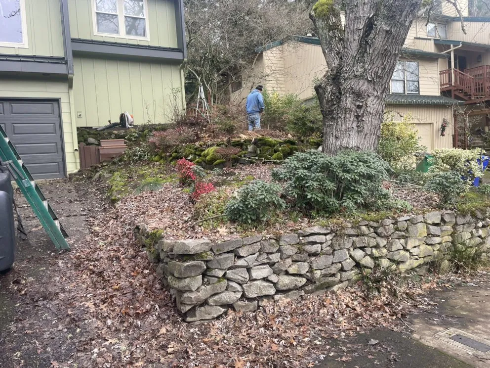 Trusted yard cleanup service in Vancouver, WA - Green Zone