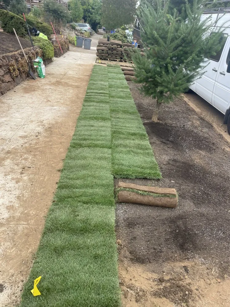 Top-rated yard cleanup service in Vancouver, WA - Green Zone