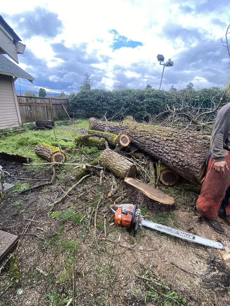 Reliable residential landscaping in Vancouver, WA by Green Zone