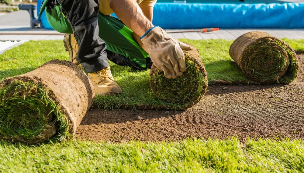 Custom yard cleanup service in Windermere, FL by Green4all Landscaping