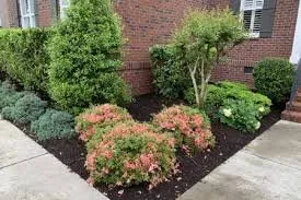 Professional yard cleanup service in Graham, NC - Green5ve