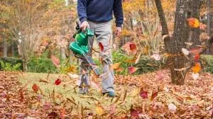 Top-rated landscape installation in Graham, NC - Green5ve