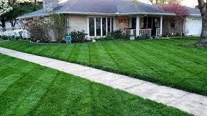 Reliable landscaping services in Graham, NC - Green5ve