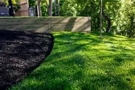 Expert yard maintenance in Graham, NC - Green5ve