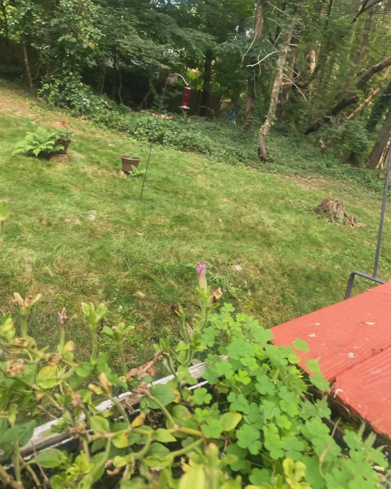 Local landscaping services in Cranston, RI by Greenace Landscaping