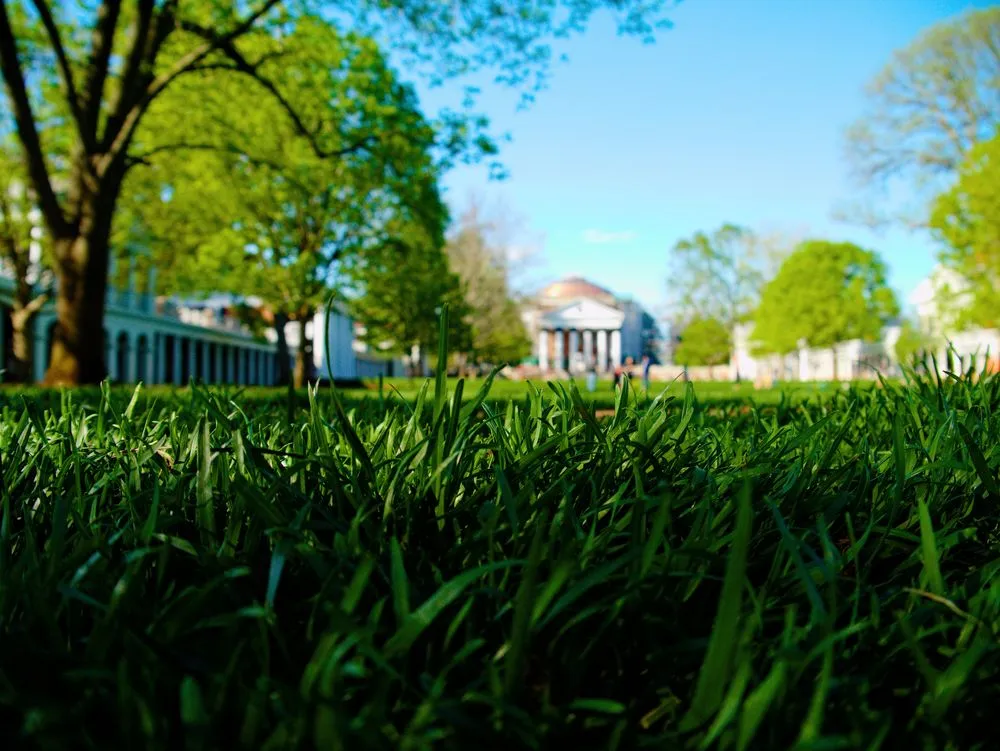 Top-rated yard maintenance experts serving Foxborough, MA - GreenAce Lawn Care