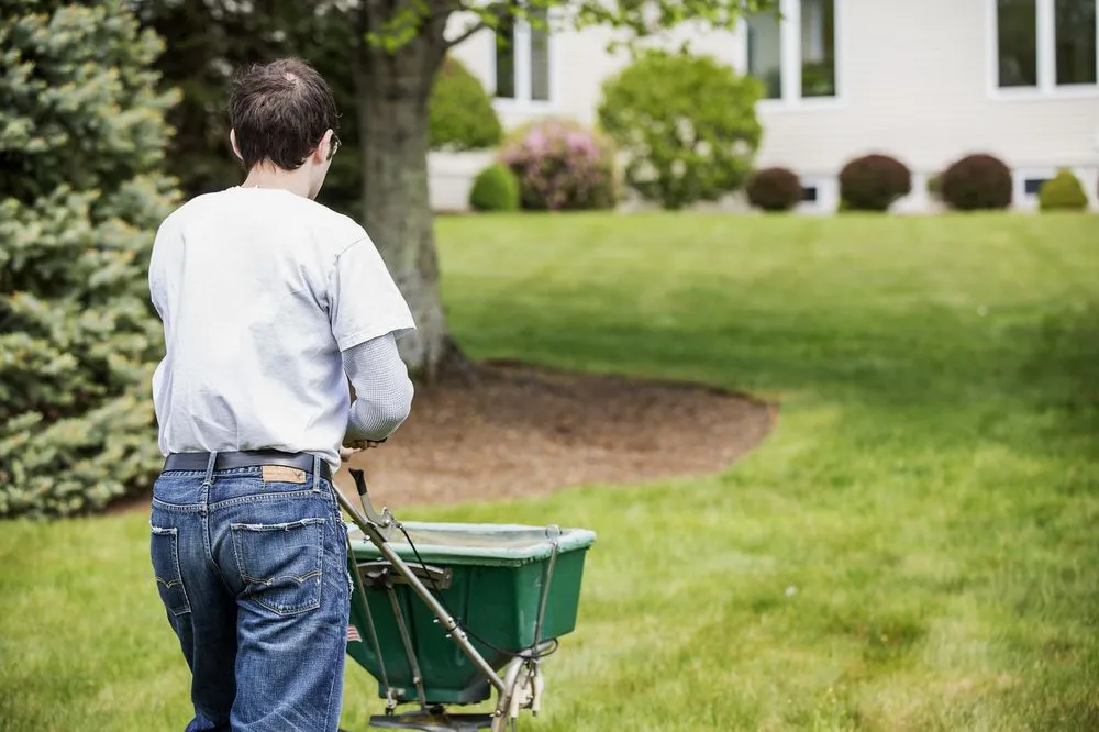 Top-rated outdoor landscaping for homes across Foxborough, MA - GreenAce Lawn Care