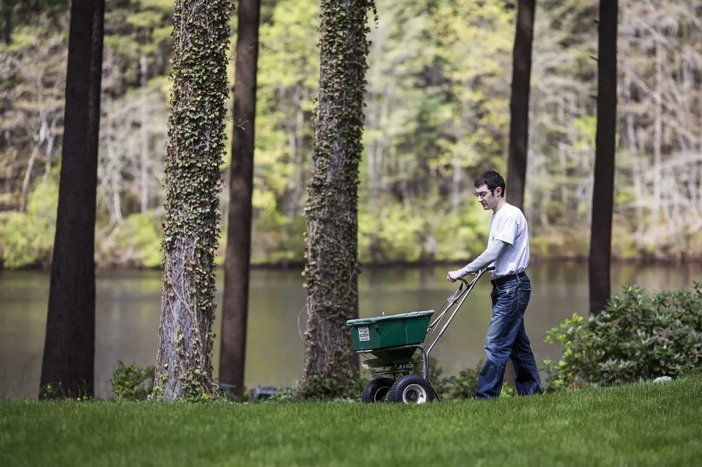 Expert lawn care service experts serving Foxborough, MA - GreenAce Lawn Care