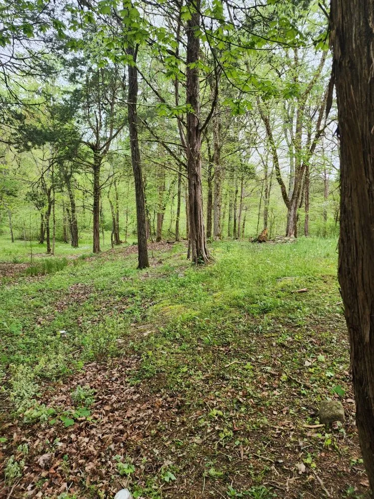 Affordable yard maintenance with custom design across Dandridge, TN - Greenacres Lawn Services