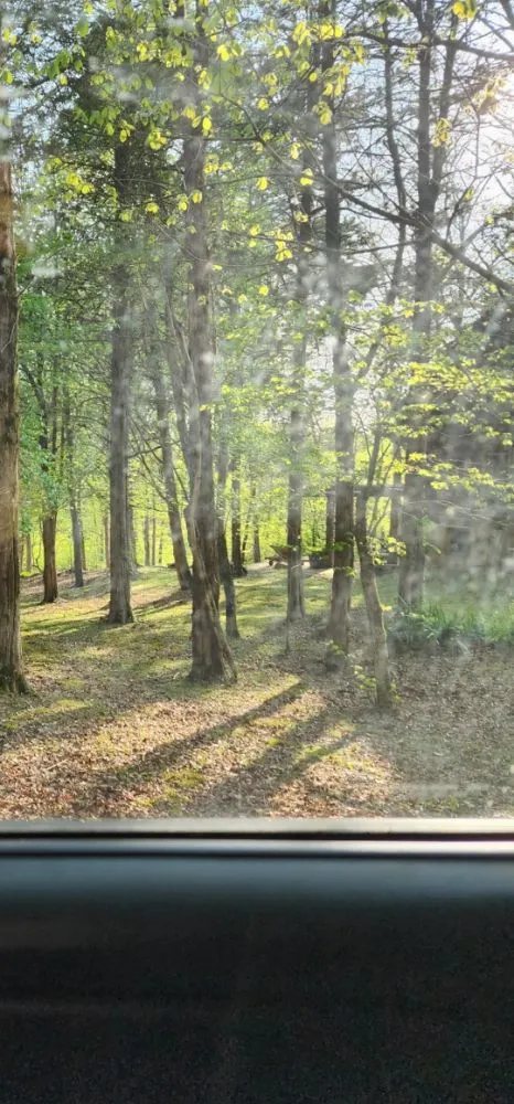 Local landscaping services in Dandridge, TN - Greenacres Lawn Services