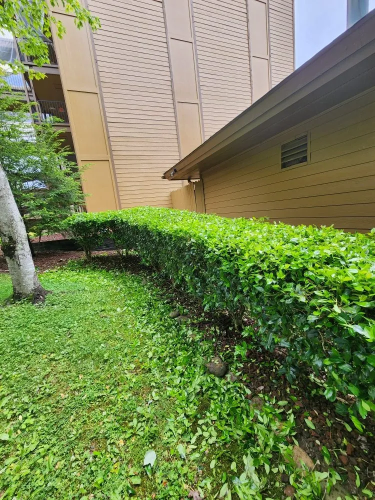 Top-rated landscape installation for year-round maintenance in Dandridge, TN by Greenacres Lawn Services