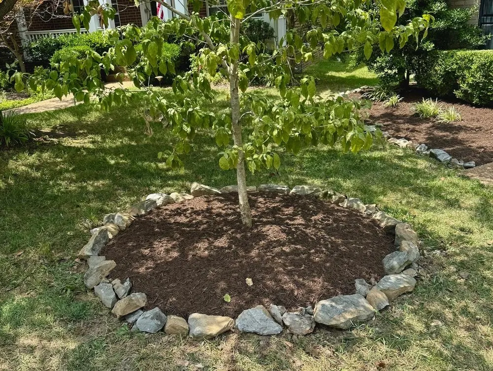 Professional yard maintenance for residential properties across Spring Hill, TN - GreenAcres Yardcare