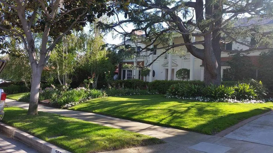 Professional garden landscaping in West Hollywood, CA by GreenArt Landscape Designs