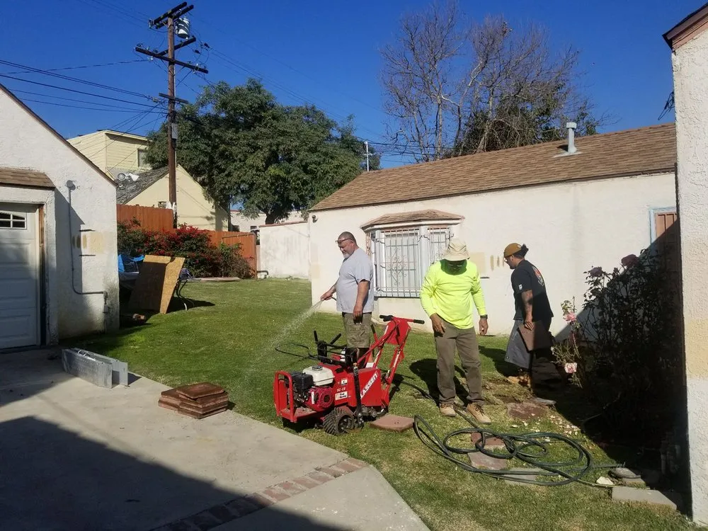 Custom garden landscaping for residential properties in West Hollywood, CA by GreenArt Landscape Designs