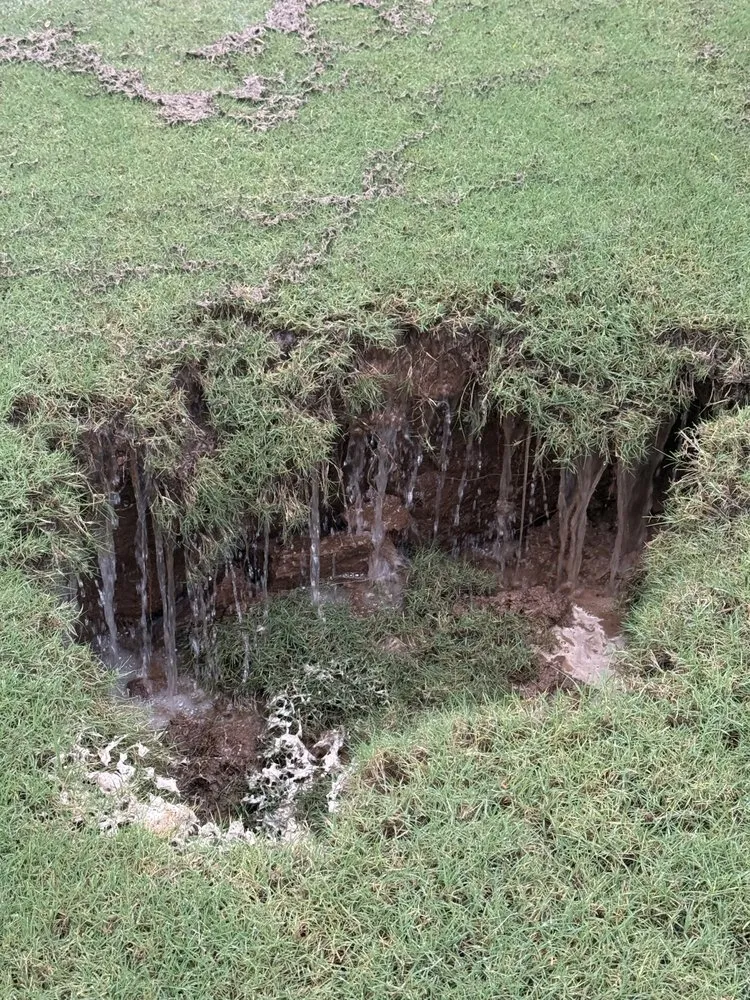 Professional landscape design in West Hollywood, CA by GreenArt Landscape Designs