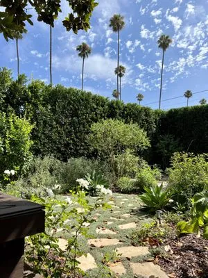 GreenArt Landscape Designs