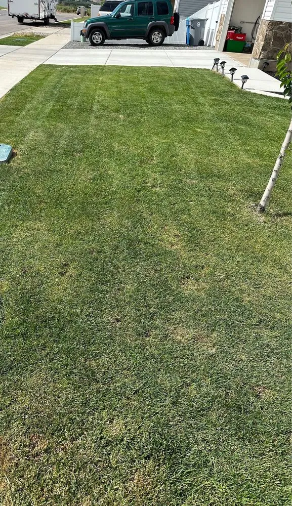 Reliable yard cleanup service for residential properties in Provo, UT by GreenArt Lawn Care Services