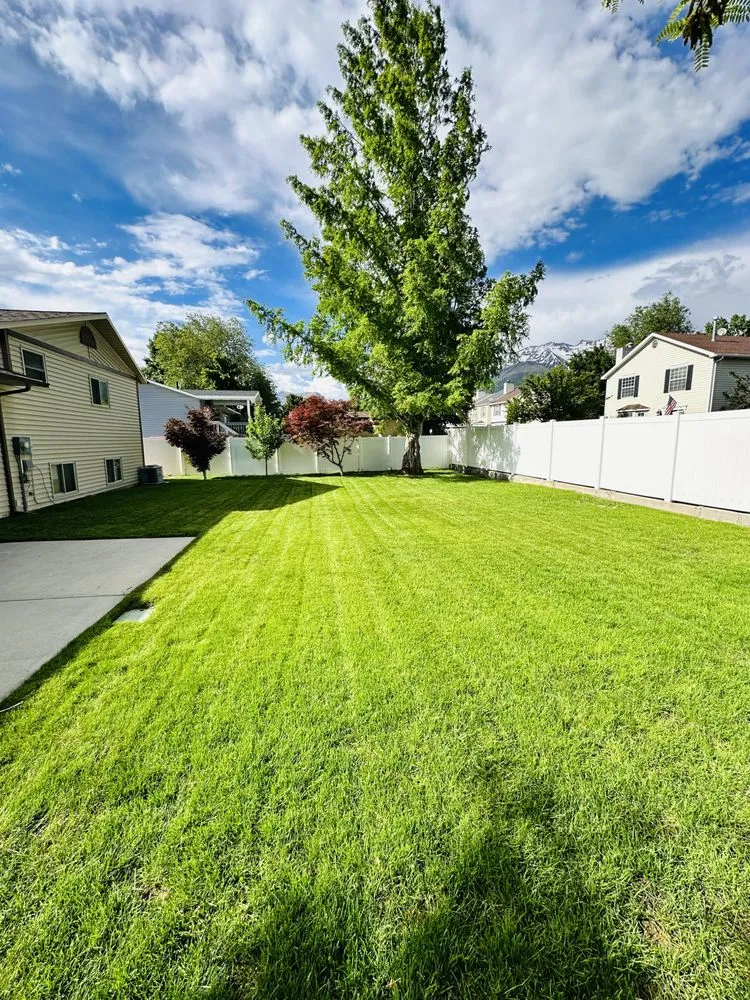 Top-rated lawn care service in Provo, UT by GreenArt Lawn Care Services