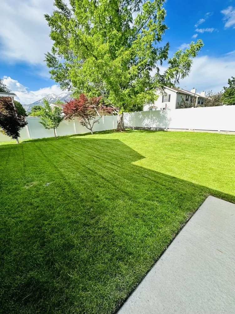 Expert yard cleanup service for homes across Provo, UT - GreenArt Lawn Care Services