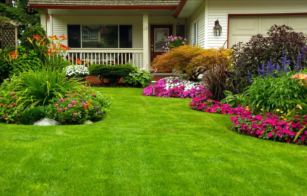 Trusted yard cleanup service for beautiful yards in Waxahachie, TX by GreenArt Lawn Care