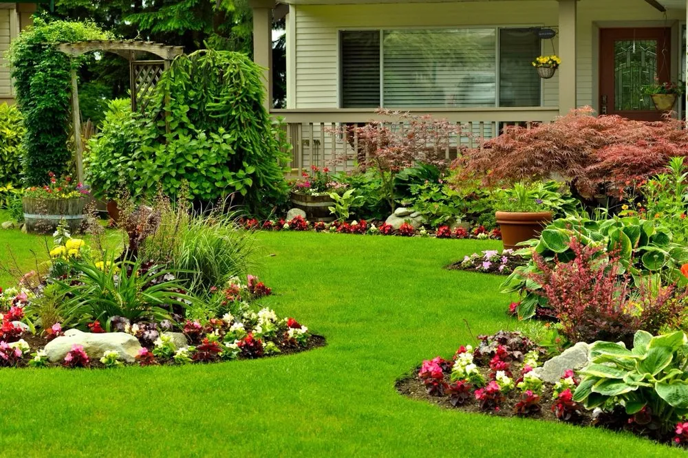 Reliable yard cleanup service experts serving Brooklyn Park, MN - GREENations Lawn Care