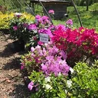 Custom garden landscaping in Everett, PA by Greenawalts Nursery & Landscaping