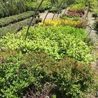 Trusted residential landscaping for beautiful yards in Everett, PA by Greenawalts Nursery & Landscaping