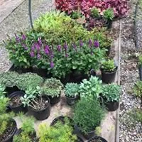 Local outdoor landscaping for outdoor upgrades in Everett, PA by Greenawalts Nursery & Landscaping