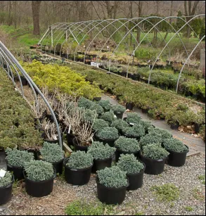 Greenawalts Nursery & Landscaping