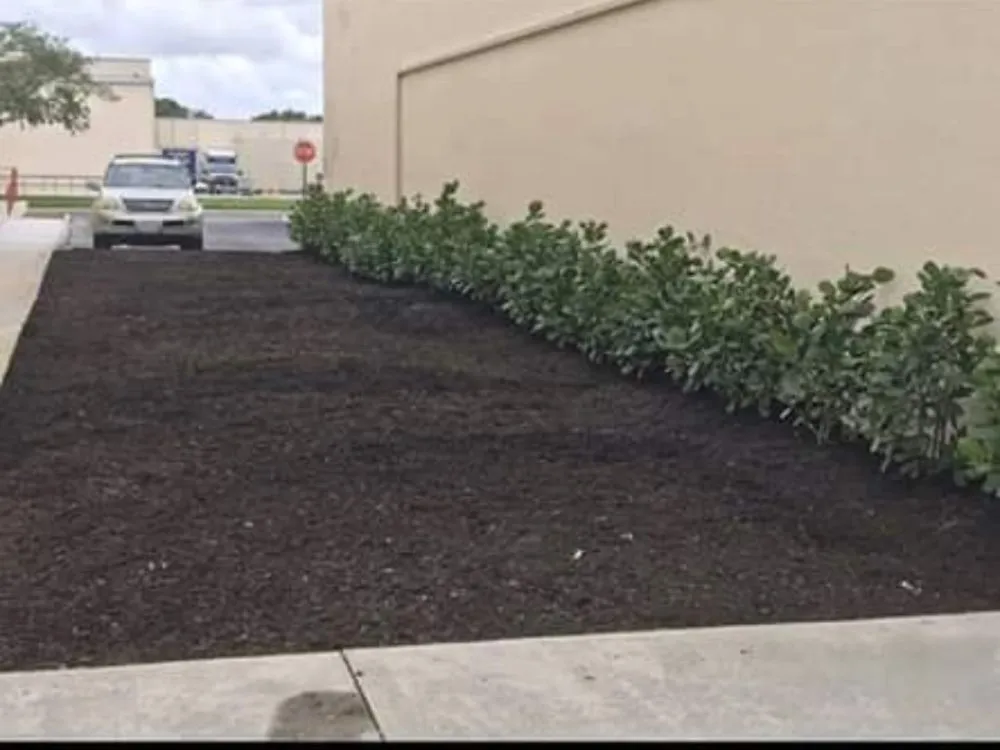 Expert garden landscaping for year-round maintenance in Santa Barbara, CA by Greenaway