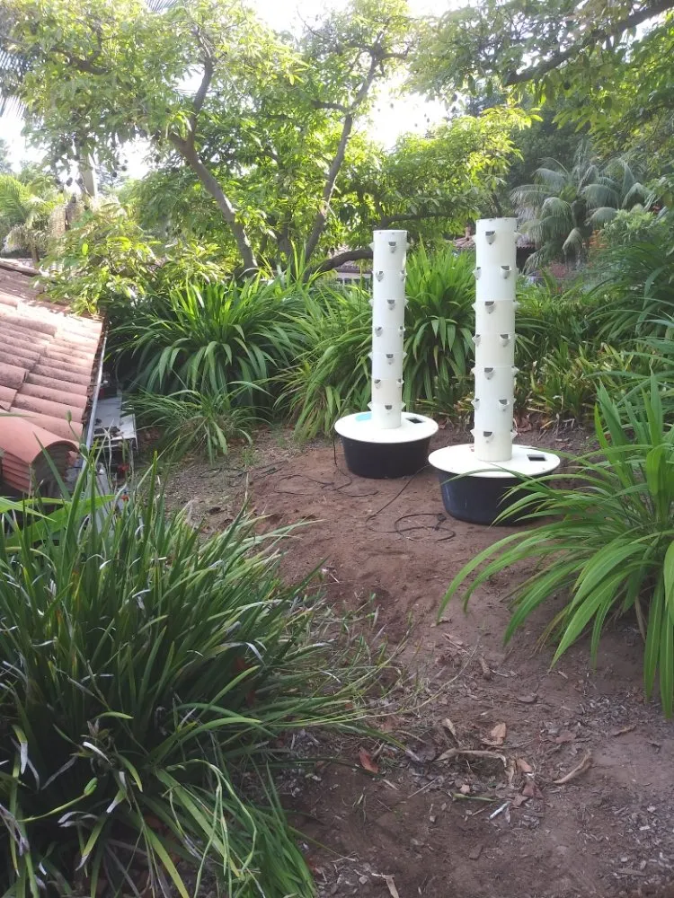 Local outdoor landscaping in Santa Barbara, CA - Greenaway