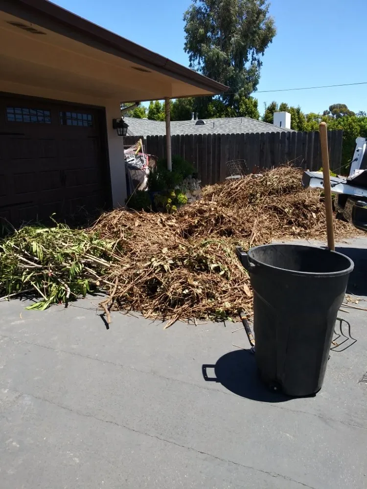 Expert lawn care service experts serving Santa Barbara, CA - Greenaway