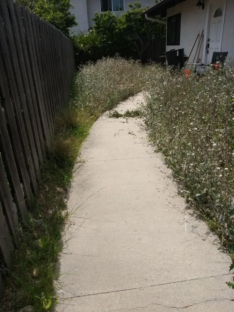 Trusted landscaping services in Santa Barbara, CA by Greenaway