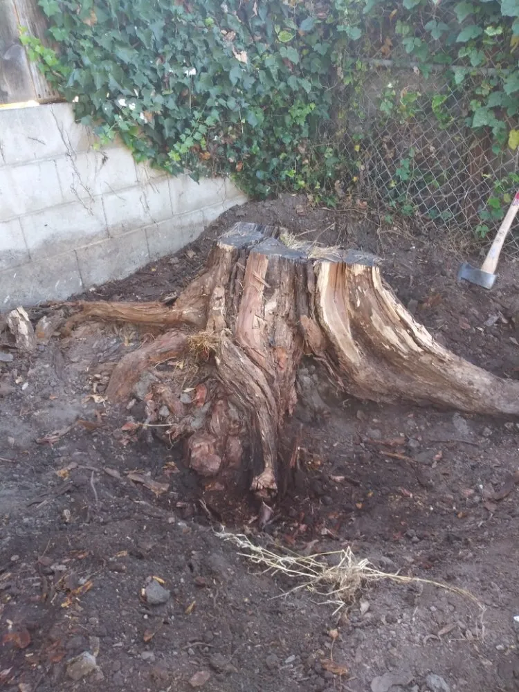 Reliable landscape installation for beautiful yards in Santa Barbara, CA by Greenaway