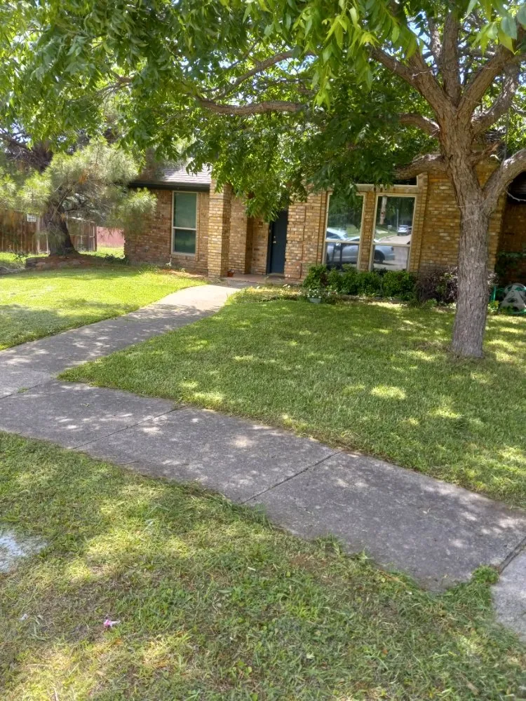Professional yard maintenance for homes across Dallas, TX - Greenbadger Lawn Care
