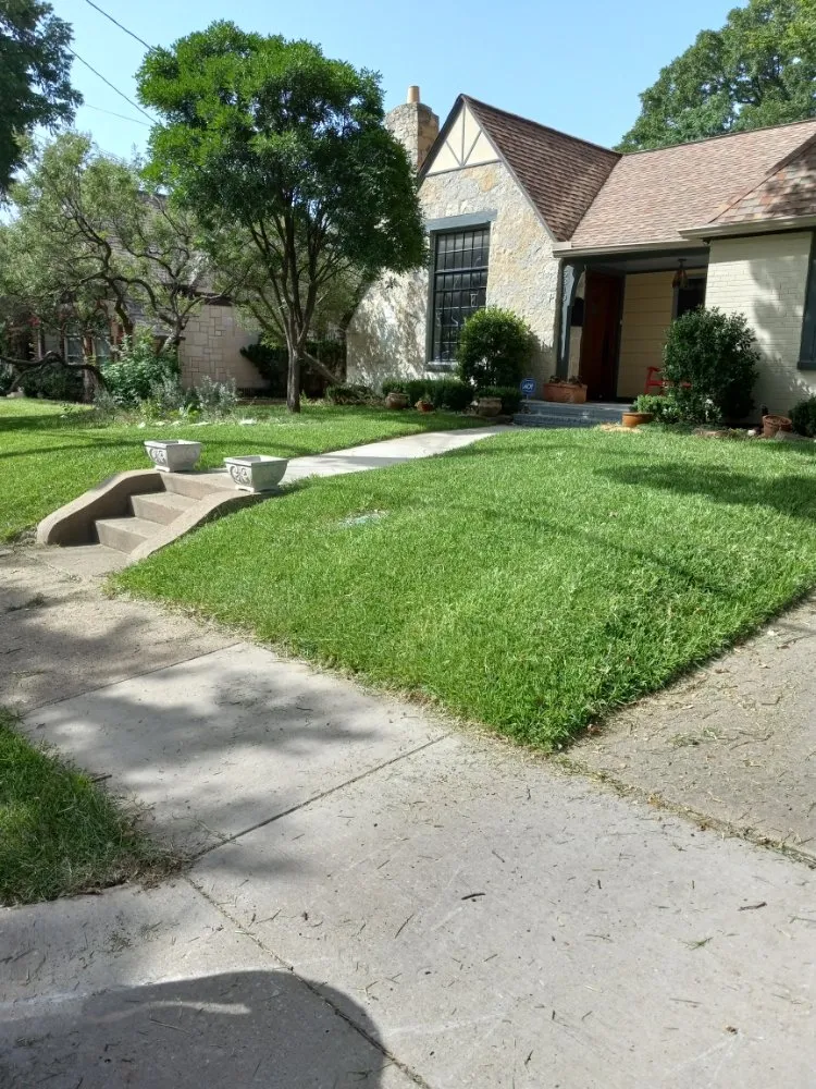 Custom yard cleanup service experts serving Dallas, TX - Greenbadger Lawn Care
