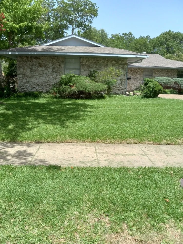 Reliable lawn care service for year-round maintenance in Dallas, TX by Greenbadger Lawn Care