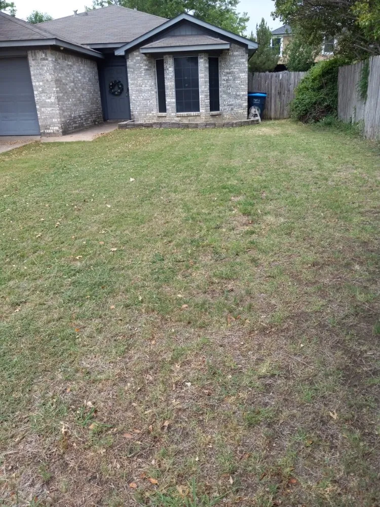 Trusted lawn mowing service experts serving Dallas, TX - Greenbadger Lawn Care
