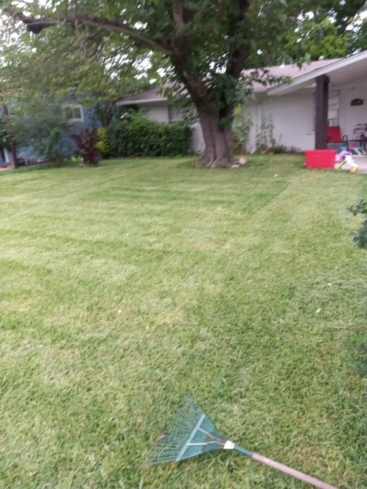 Expert landscape installation in Dallas, TX by Greenbadger Lawn Care