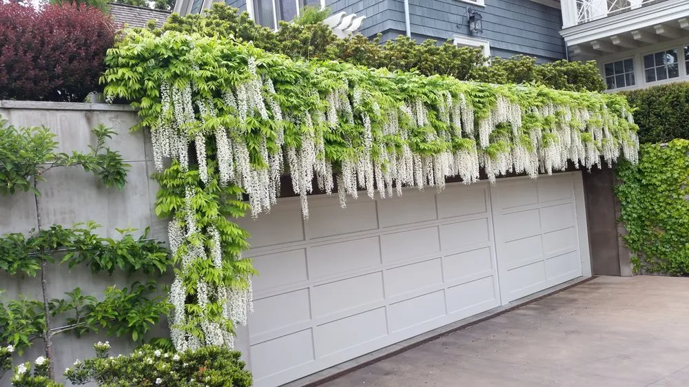 Professional landscape installation in Seattle, WA - Greenbank Gardens