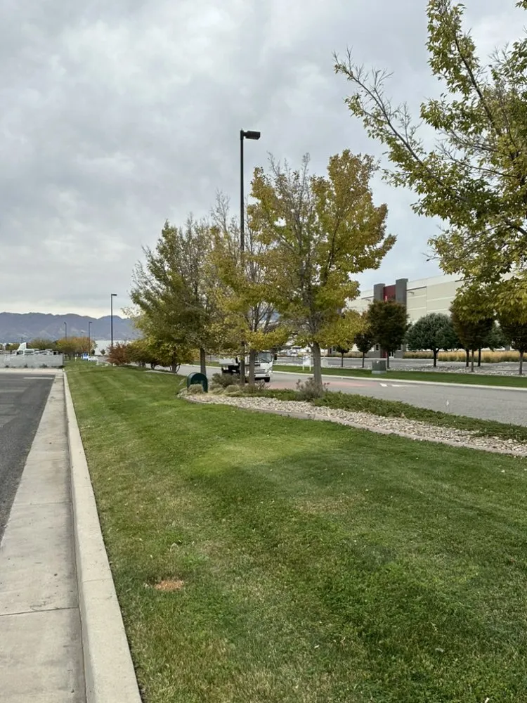 Professional yard cleanup service near you across West valley, UT - Greenbear Multi Services
