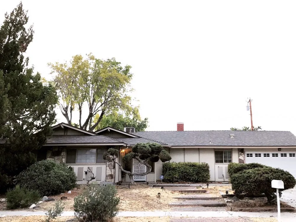 Expert yard cleanup service in Palmdale, CA - Greenbee Landscape