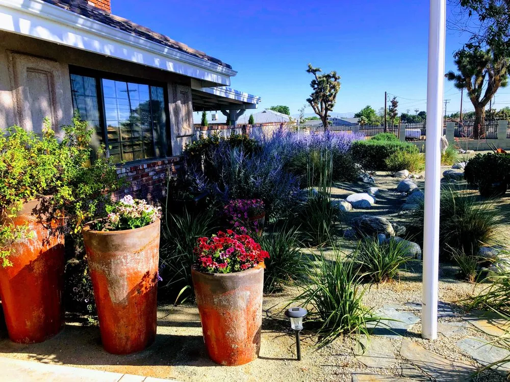 Custom yard maintenance experts serving Palmdale, CA - Greenbee Landscape