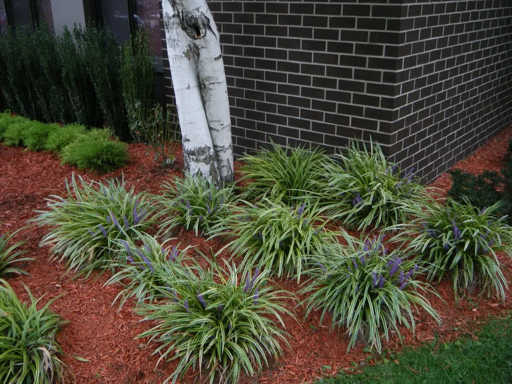 Local lawn mowing service in Freehold, NJ - GreenBee LawnCare