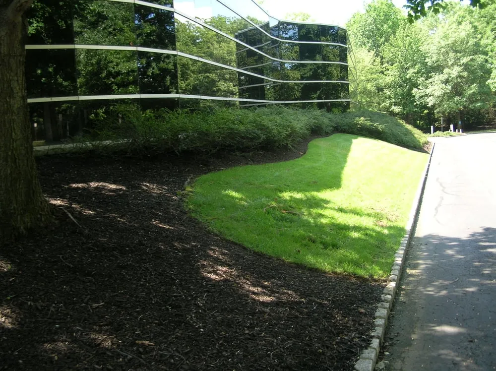 Expert outdoor landscaping in Freehold, NJ - GreenBee LawnCare