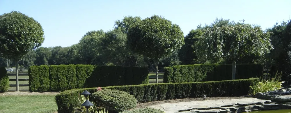 Professional landscaping services in Freehold, NJ - GreenBee LawnCare