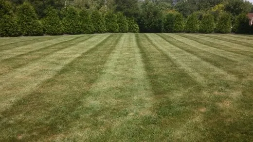 Professional lawn care service in Freehold, NJ by GreenBee LawnCare