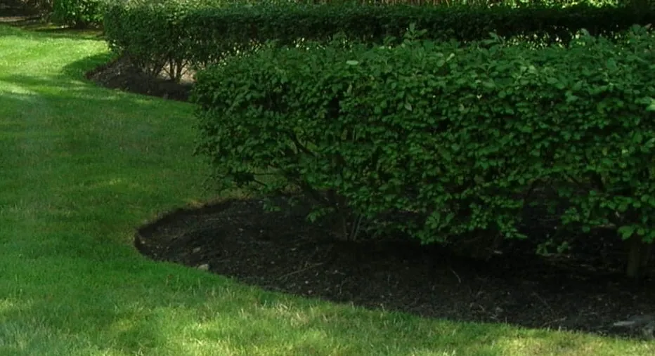 Custom landscape installation in Freehold, NJ by GreenBee LawnCare