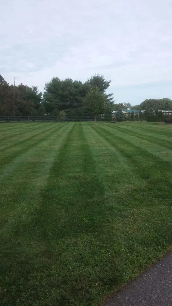 Affordable landscaping services in Freehold, NJ - GreenBee LawnCare